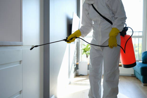 Best Post-Remediation Services in Stockbridge, GA