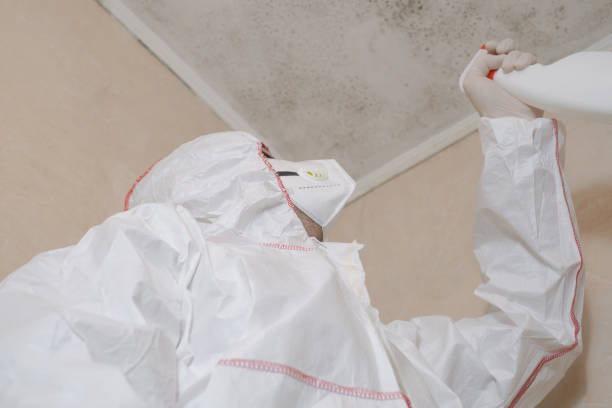 Best Bathroom Mold Remediation in Stockbridge, GA