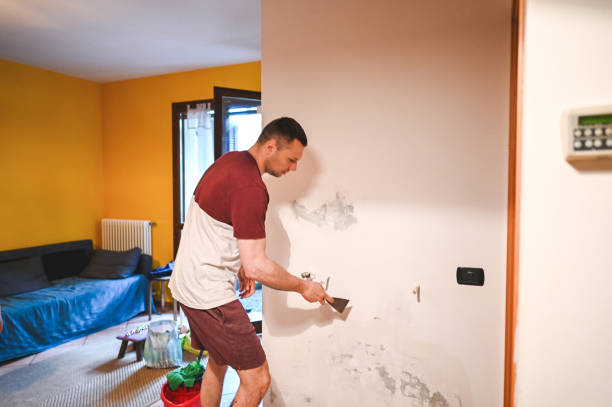 Best Mold Testing and Inspection Services in Stockbridge, GA